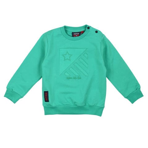 aspen polo club abbiglimento Felpe green / 9M aspen polo club - abbiglimento - Felpe - Felpe