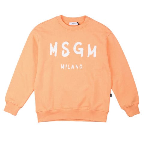 msgm Abbigliamento Felpe pesca / 10A msgm - Abbigliamento - Felpe - Felpe