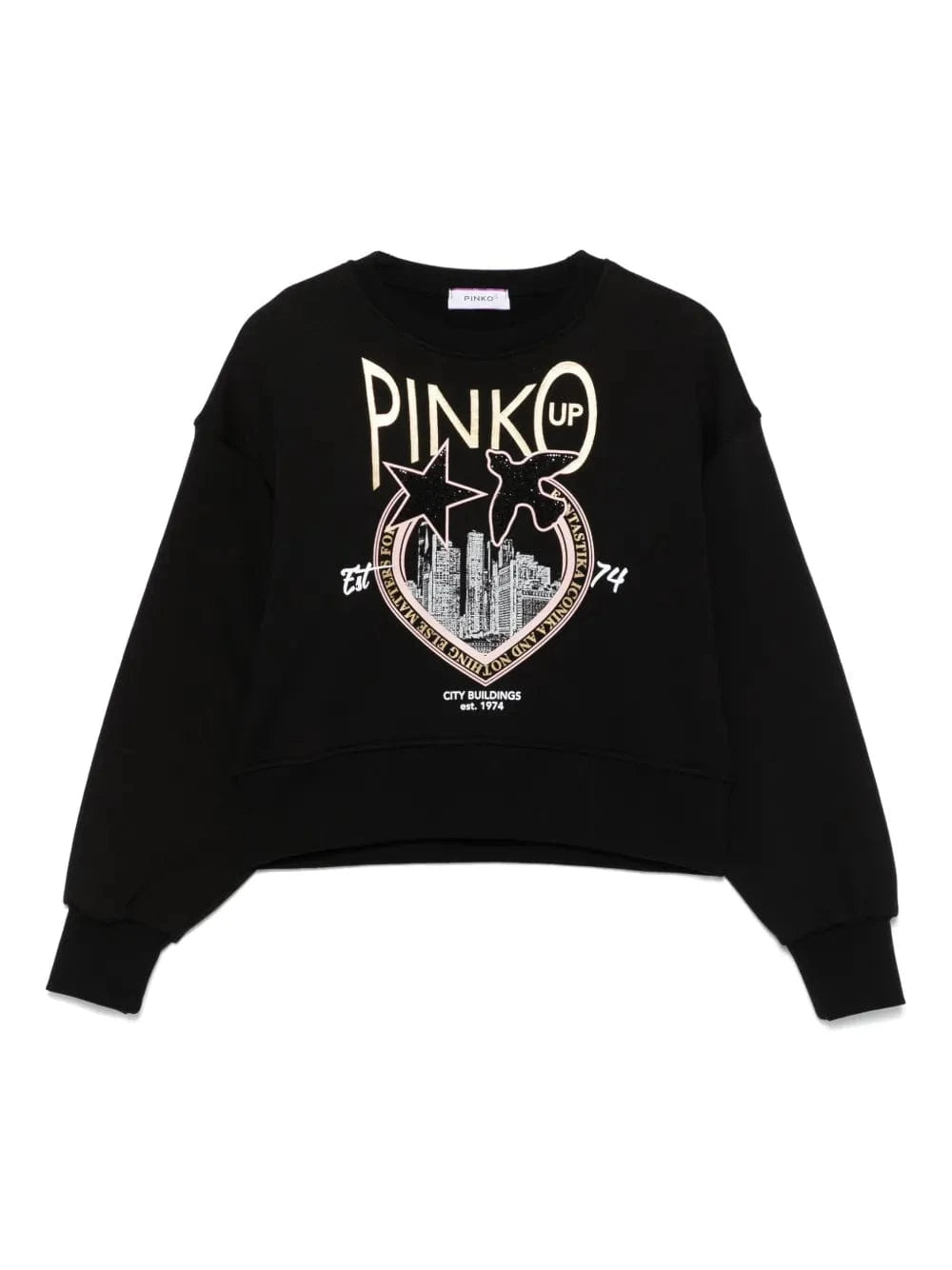 pinko Abbigliamento Felpe Pinko Felpa