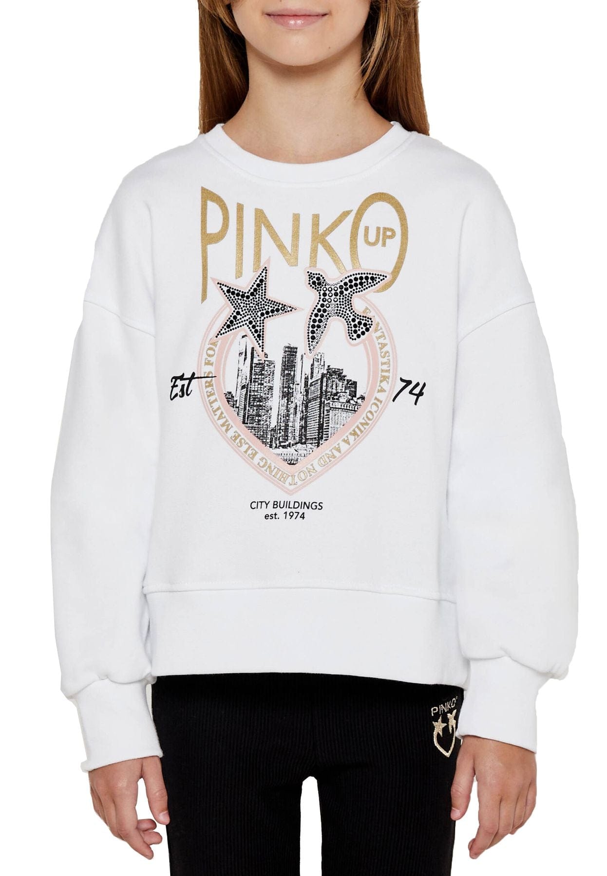 pinko Abbigliamento Felpe Pinko Felpa