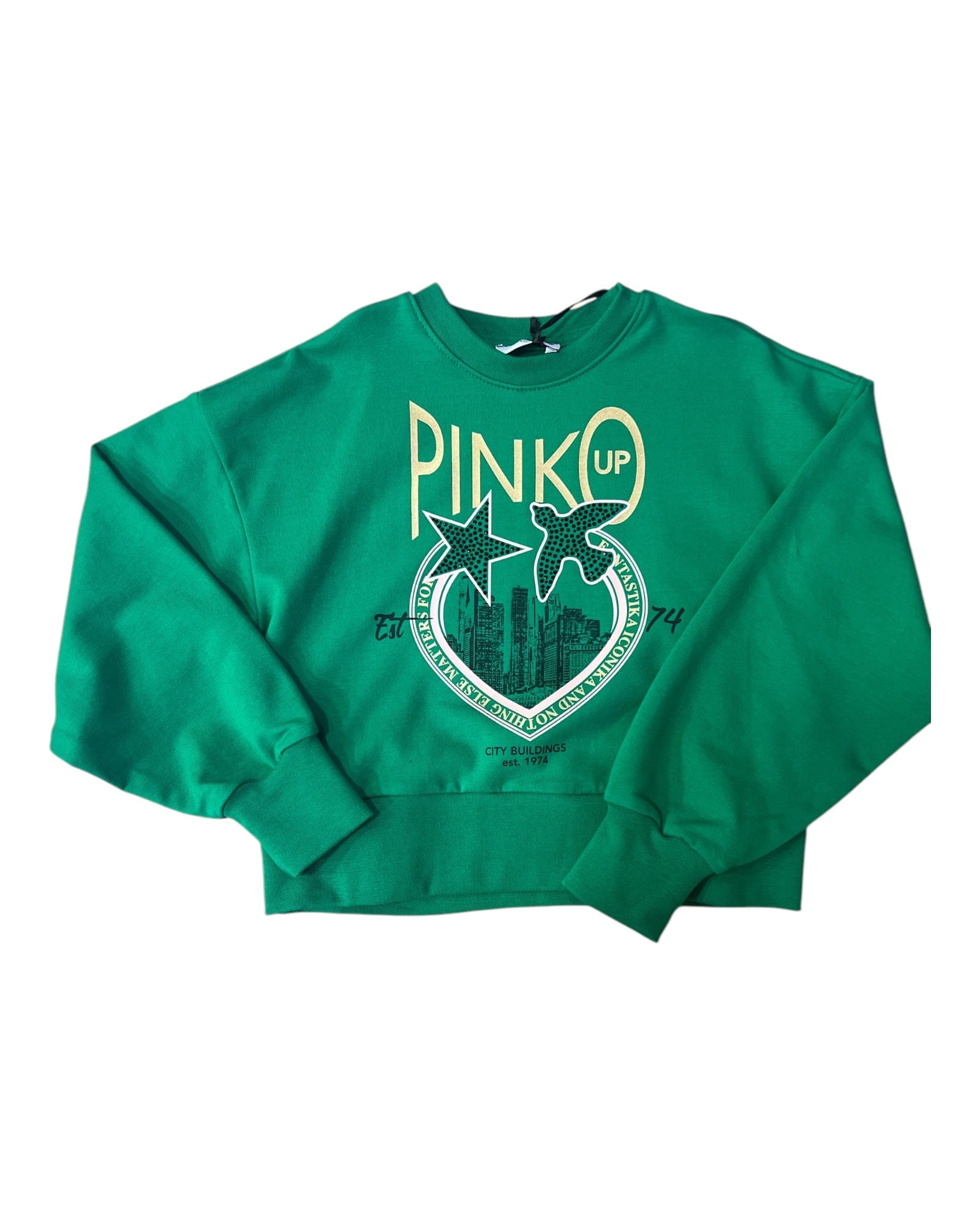 pinko Abbigliamento Felpe Pinko Felpa